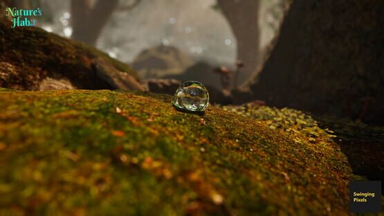 Nature's Habit cover