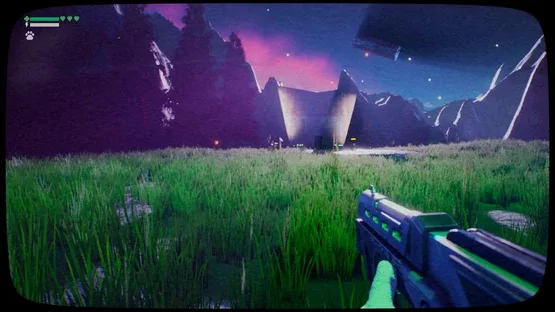 Thumbnail 12