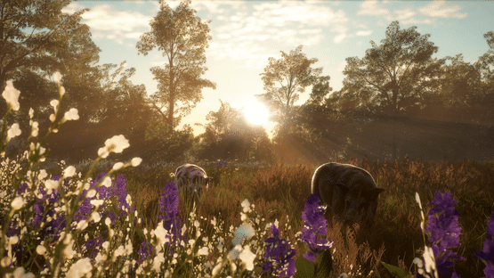 TheHunter: Call of the Wild - Mississippi Acres Preserve Screenshot