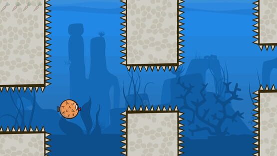 Blow Fish Music Quiz cover