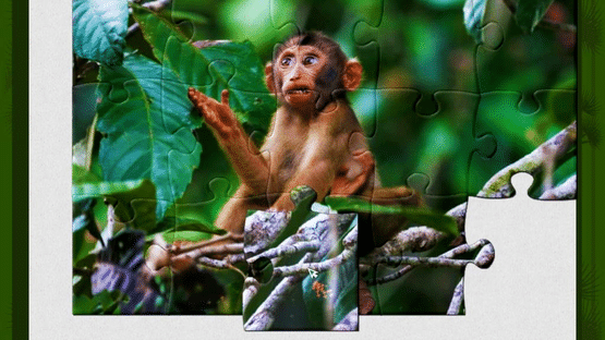 1001 Jigsaw: Wild Animals Screenshot