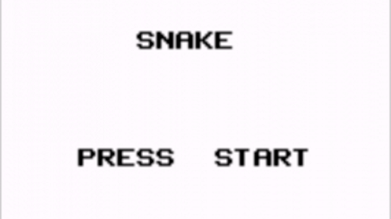 Snake Screenshot