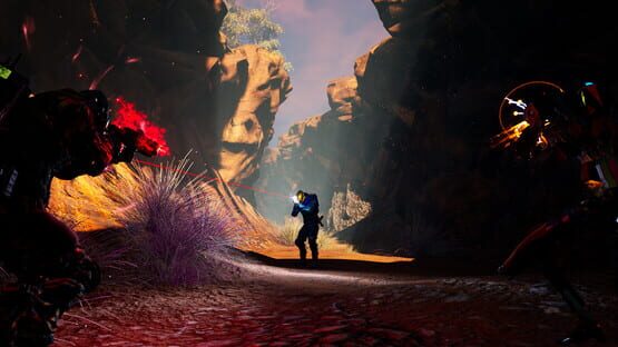 Thumbnail 13