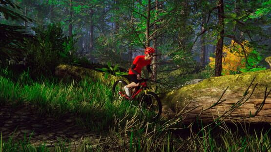 Bicycle Rider Simulator cover