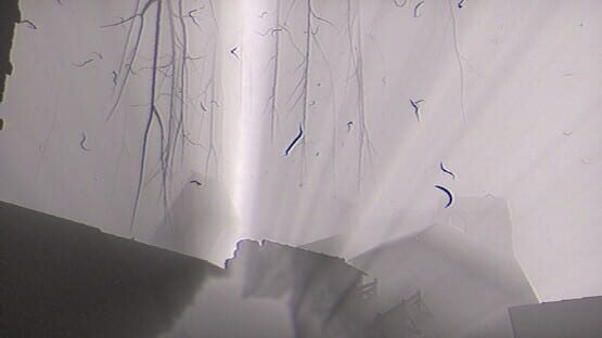 Our Elusive Suffering screenshot 1