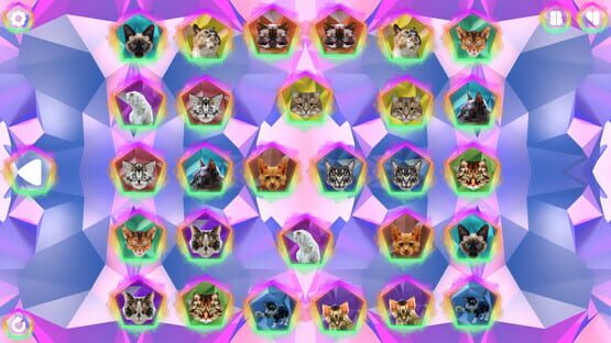 Poly Memory: Cats cover