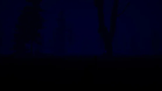 Slender: The Eight Pages - Remake screenshot 3