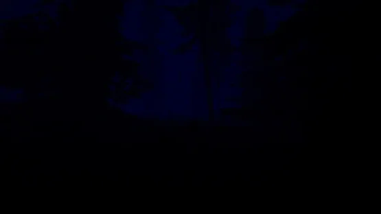 Slender: The Eight Pages - Remake screenshot 6