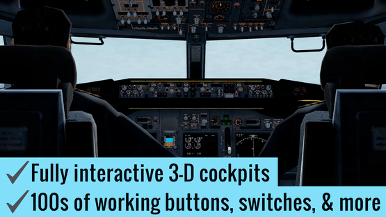 X-Plane Flight Simulator Screenshot