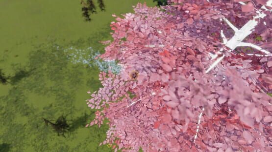 The Ball Flow: Nature and Light cover