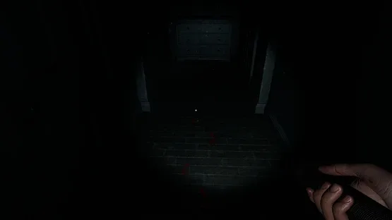 Thumbnail 11