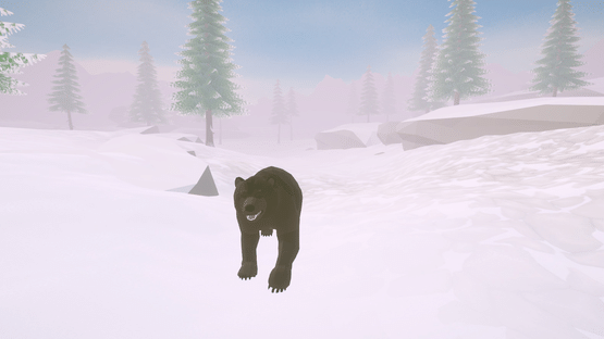 Cold Land Screenshot