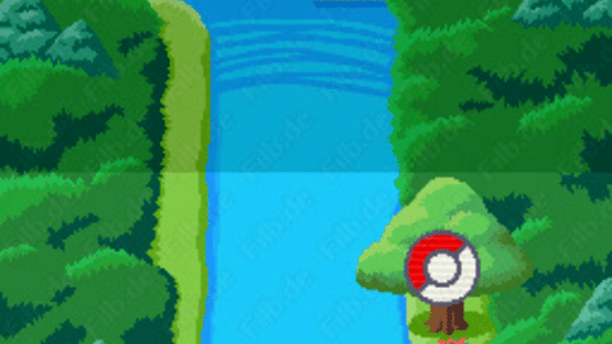 PokéPark: Fishing Rally DS Screenshot