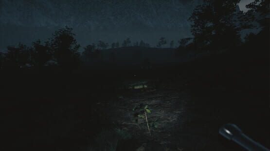 Tales From Hoia Baciu Forest screenshot 5