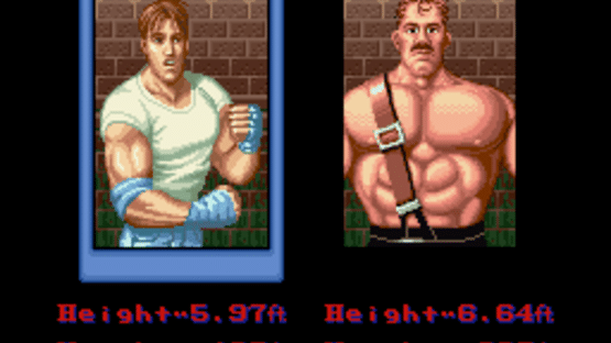 Final Fight Screenshot