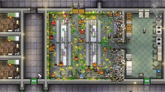 Thumbnail 6
