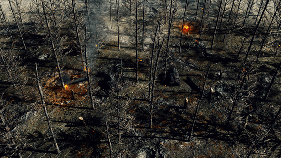 Call to Arms: Gates of Hell - Talvisota Screenshot