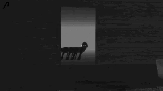 Thumbnail 19
