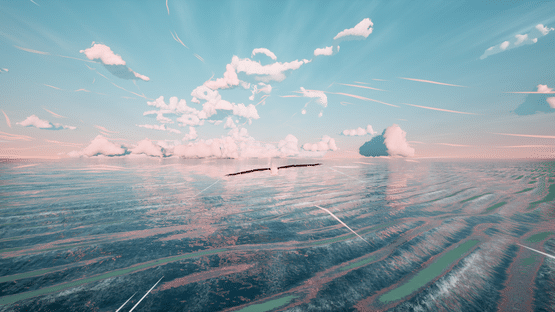 Toroa Screenshot
