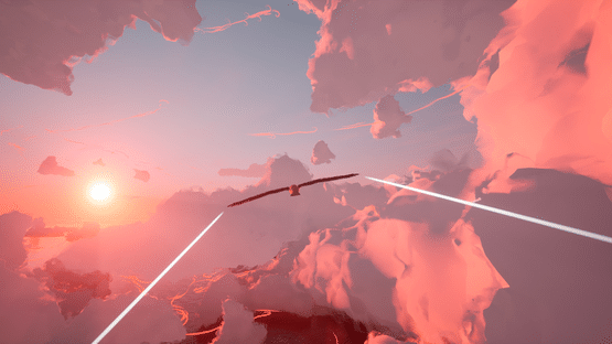 Toroa Screenshot