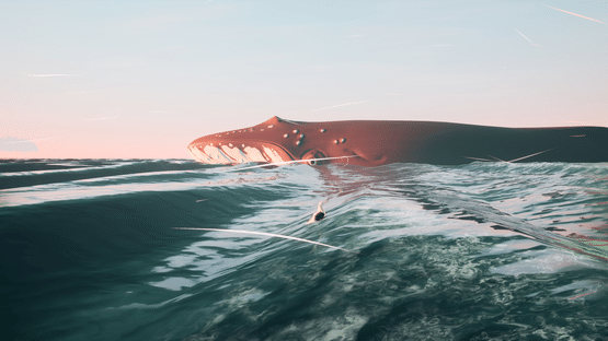 Toroa Screenshot