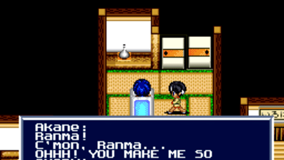 Ranma ½: Aka Neko-dan Teki Hihou Screenshot