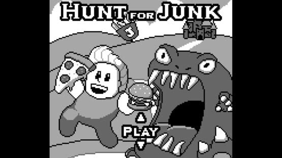 Hunt for Junk cover