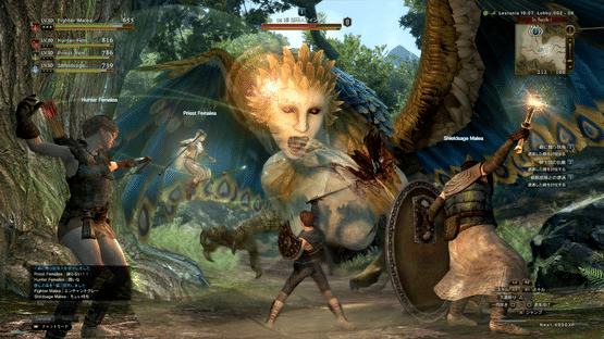 Dragon's Dogma Online Screenshot