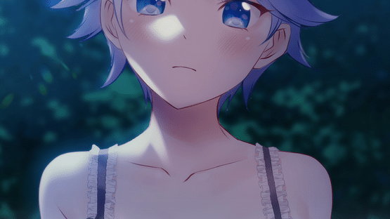 Fuuka: A Summer Memory Screenshot