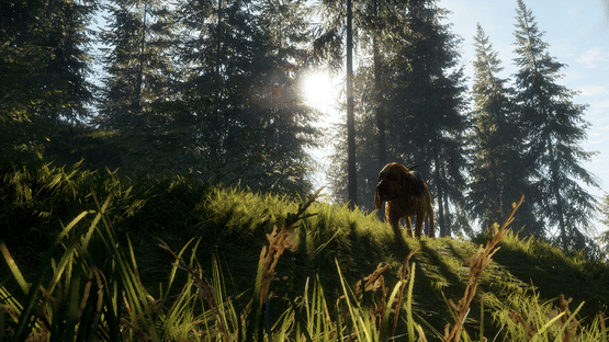 TheHunter: Call of the Wild - Bloodhound Screenshot