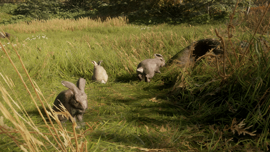 TheHunter: Call of the Wild - Free Species: European Rabbit Screenshot