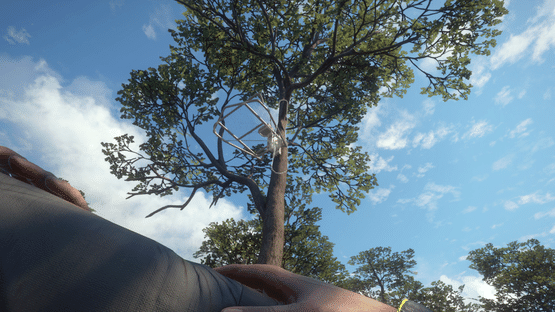 TheHunter: Call of the Wild - Treestand & Tripod Pack Screenshot