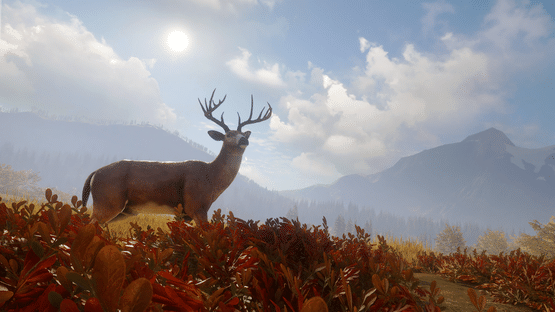 TheHunter: Call of the Wild - TruRACS Screenshot