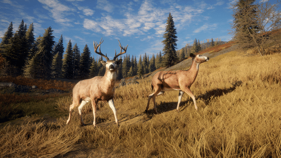 TheHunter: Call of the Wild - TruRACS Screenshot