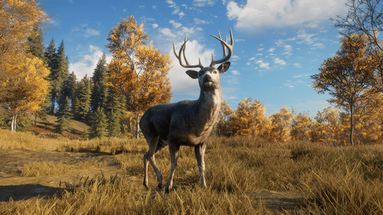 TheHunter: Call of the Wild - TruRACS Screenshot