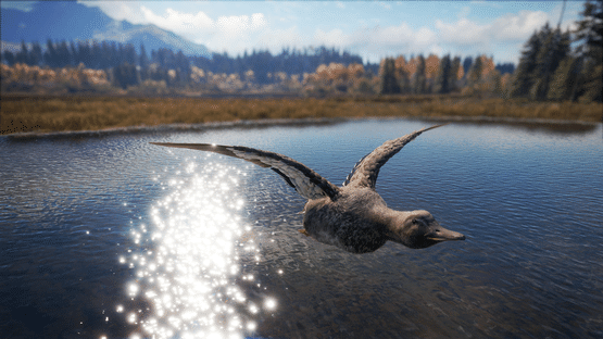 TheHunter: Call of the Wild - Duck and Cover Pack Screenshot