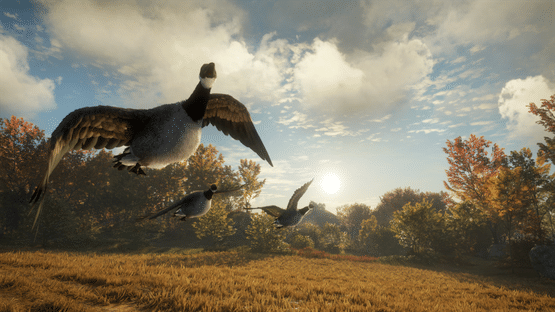 TheHunter: Call of the Wild - Wild Goose Chase Gear Screenshot