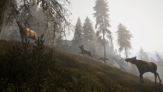 TheHunter: Call of the Wild - Facing the Wild 1 Screenshot