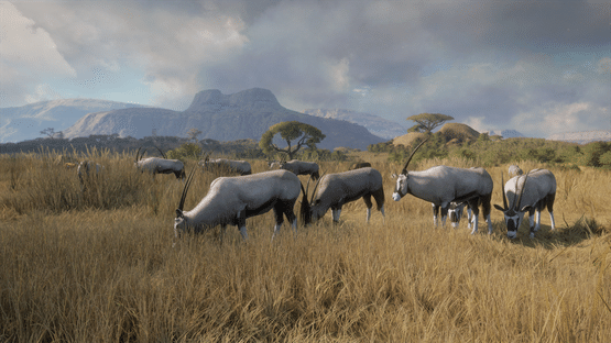 TheHunter: Call of the Wild - New Species 2018 Screenshot