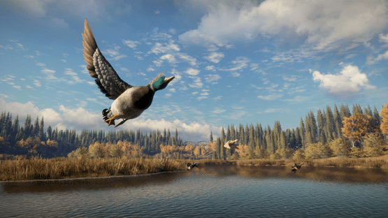 TheHunter: Call of the Wild - New Species 2018 Screenshot