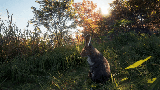 TheHunter: Call of the Wild - New Species 2018 Screenshot