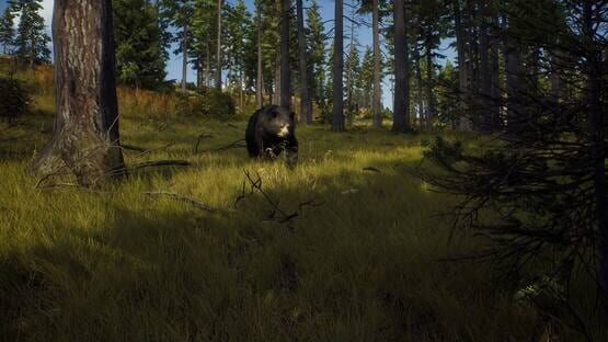 Way of the Hunter: Elite Edition screenshot 4