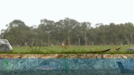 A toad well travelled screenshot 6