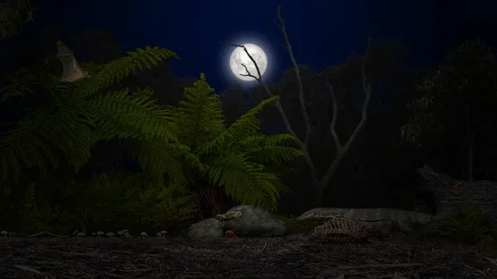 A toad well travelled screenshot 5