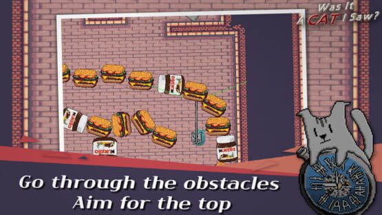 Was it a Cat I Saw? cover