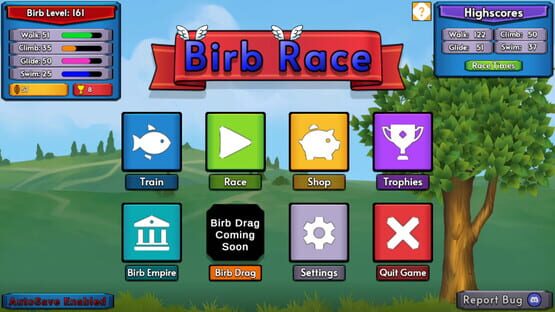 Birb Race cover