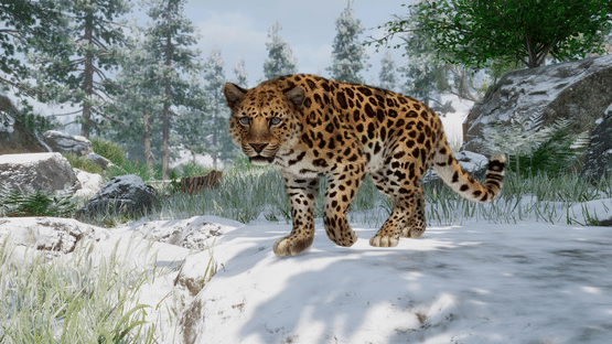 Planet Zoo: Conservation Pack Screenshot