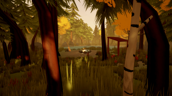 Woods: David's Story Screenshot