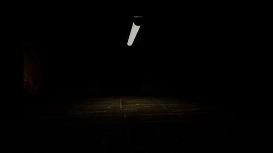 Night of Disturbance cover