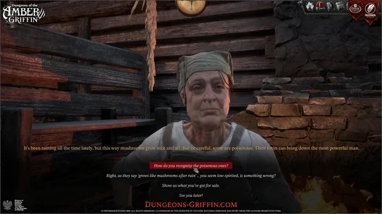 Dungeons of the Amber Griffin screenshot 4